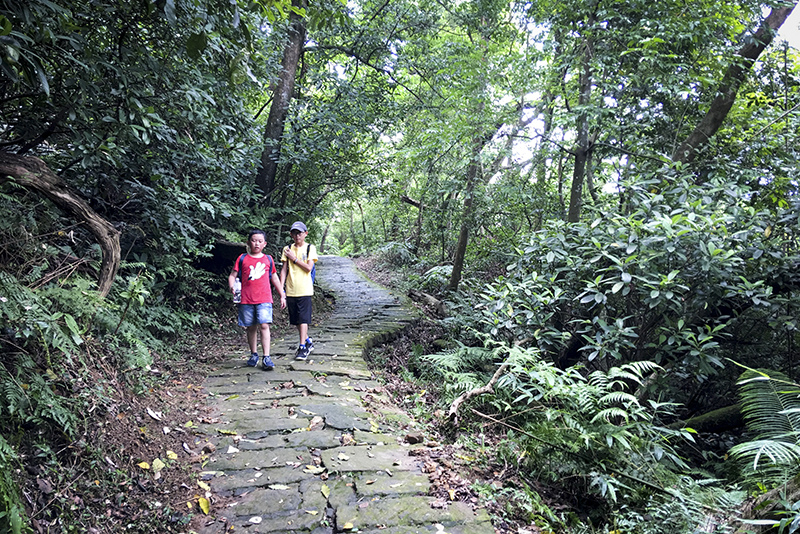 2017-06-116s大崙山016.jpg 2017-06-116s大崙山016.jpg