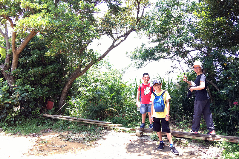 2017-06-116s大崙山033.jpg 2017-06-116s大崙山033.jpg