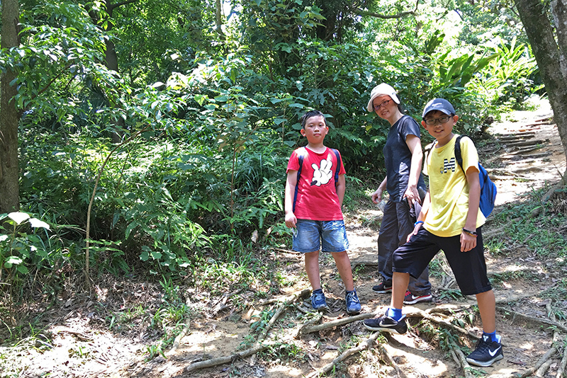 2017-06-116s大崙山040.jpg 2017-06-116s大崙山040.jpg