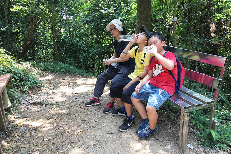 2017-06-116s大崙山049.jpg 2017-06-116s大崙山049.jpg