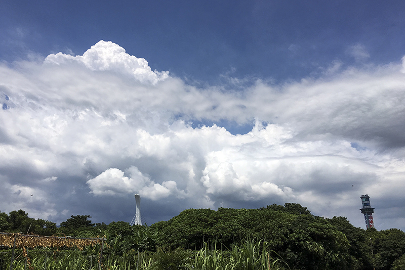 2017-07-02除草011.jpg