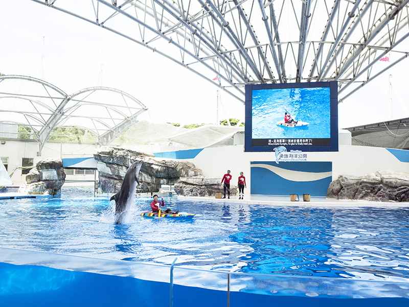 2017-07-11遠雄海洋公園110.jpg