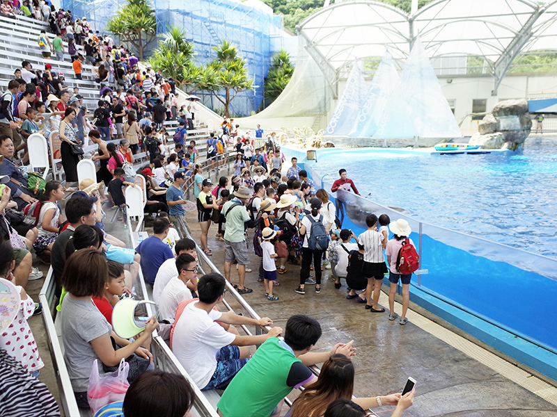 2017-07-11遠雄海洋公園143.jpg