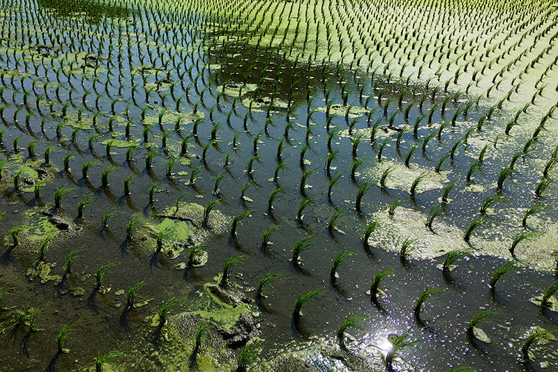 2107-08-05回南部002.jpg 2107-08-05回南部002.jpg