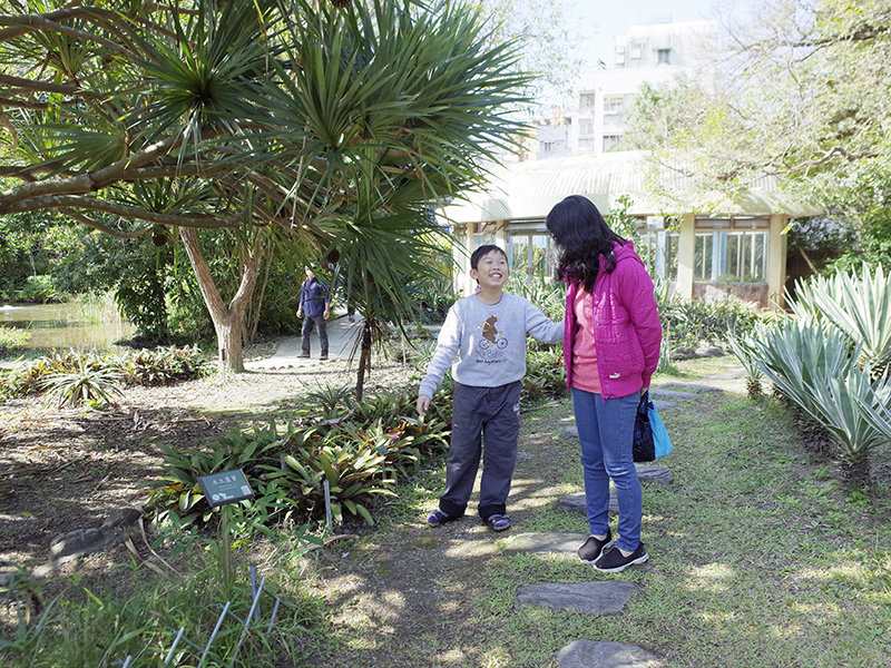 2018-01-14植物園020.jpg