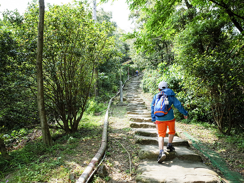 2018-03-25泰山嚴008.jpg 2018-03-25泰山嚴008.jpg