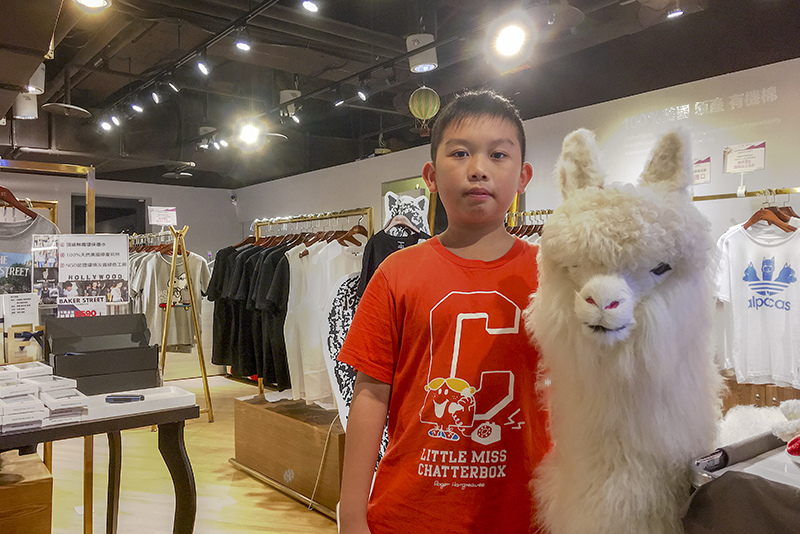 2018-06-17夾娃娃019.jpg 2018-06-17夾娃娃019.jpg