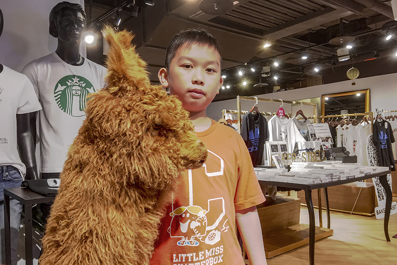 2018-06-17夾娃娃020.jpg 2018-06-17夾娃娃020.jpg