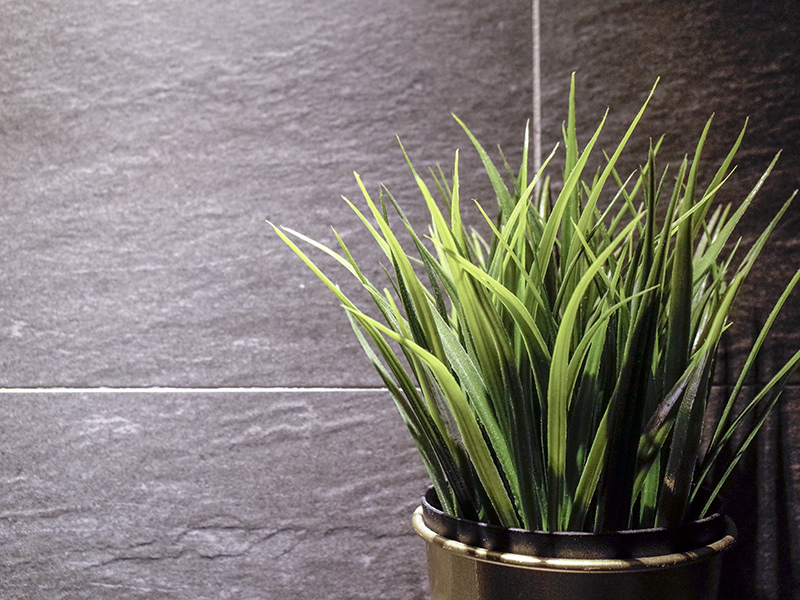 2018-09-09青花驕018.jpg 2018-09-09青花驕018.jpg