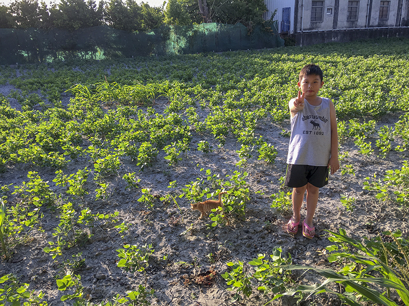 2018-09-29回南部018.jpg