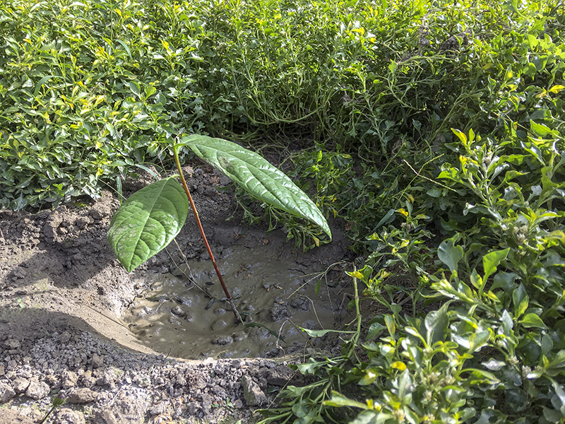 2018-12-08回南部013.jpg 2018-12-08回南部013.jpg