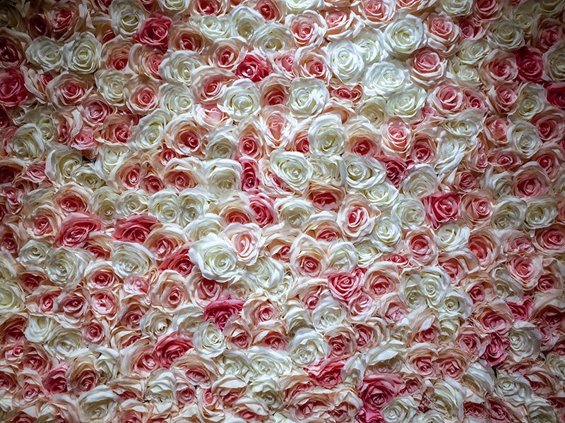 2019-01-16新馬辣經典麻辣火鍋005.jpg 2019-01-16新馬辣經典麻辣火鍋005.jpg