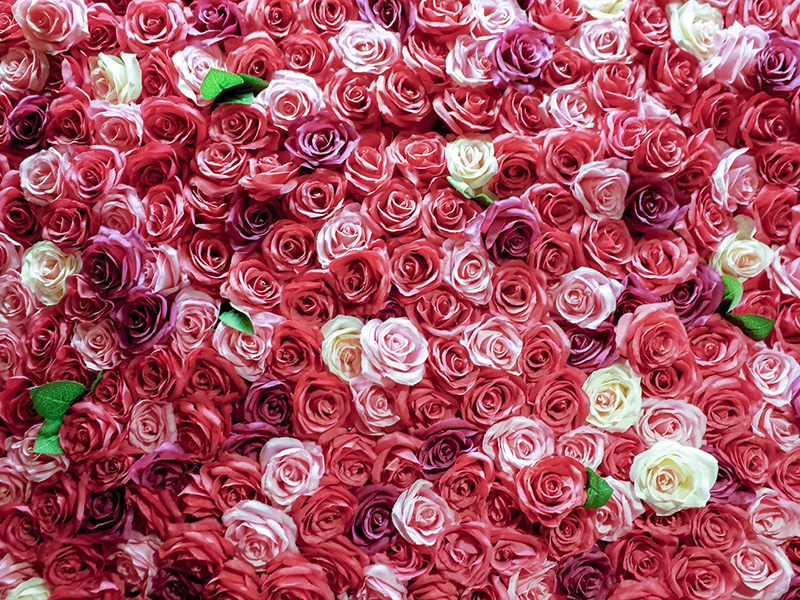 2019-01-16新馬辣經典麻辣火鍋007.jpg 2019-01-16新馬辣經典麻辣火鍋007.jpg