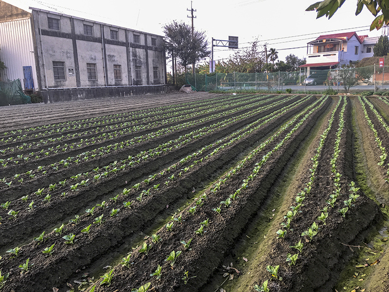 2019-02-05回南部006.jpg