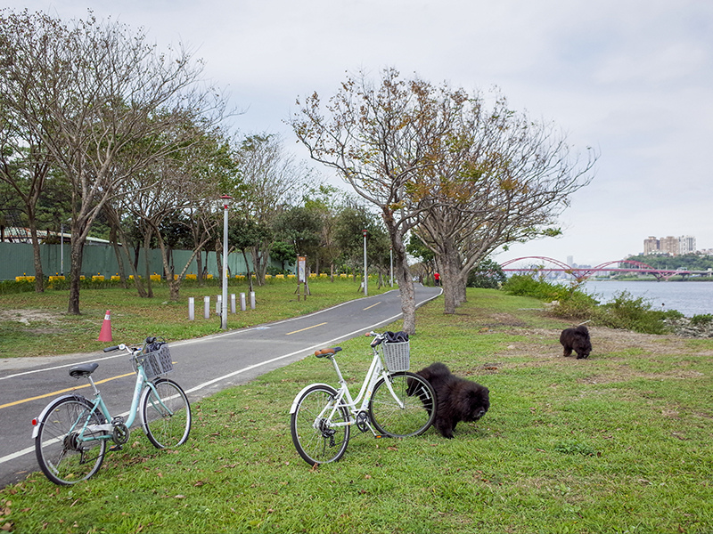 2019-03-01八里騎車010.jpg