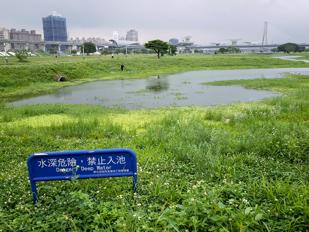 2019-04-28堤防邊012.jpg 2019-04-28堤防邊012.jpg