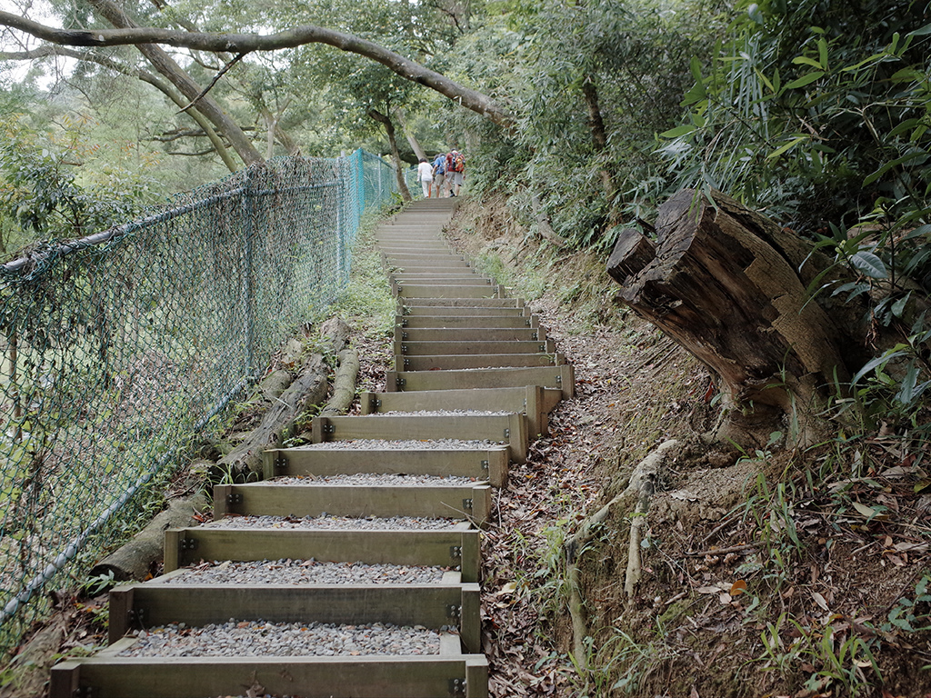 2019-05-05桐花公園-火焰山008.jpg 2019-05-05桐花公園-火焰山008.jpg