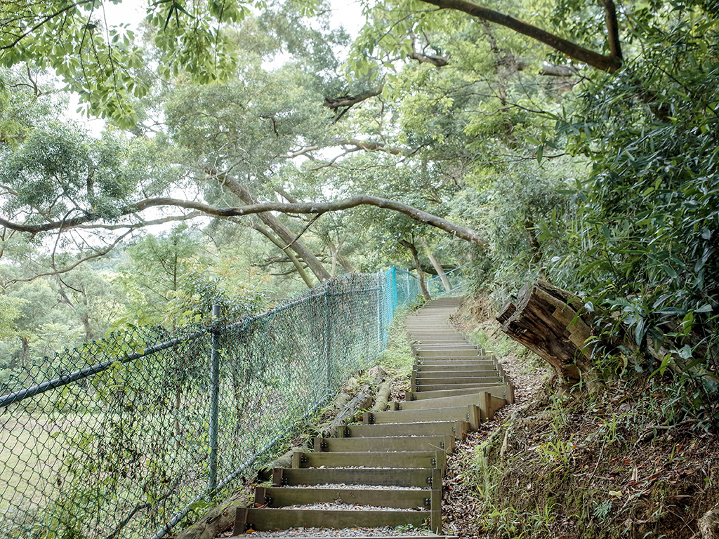 2019-05-05桐花公園-火焰山006.jpg 2019-05-05桐花公園-火焰山006.jpg