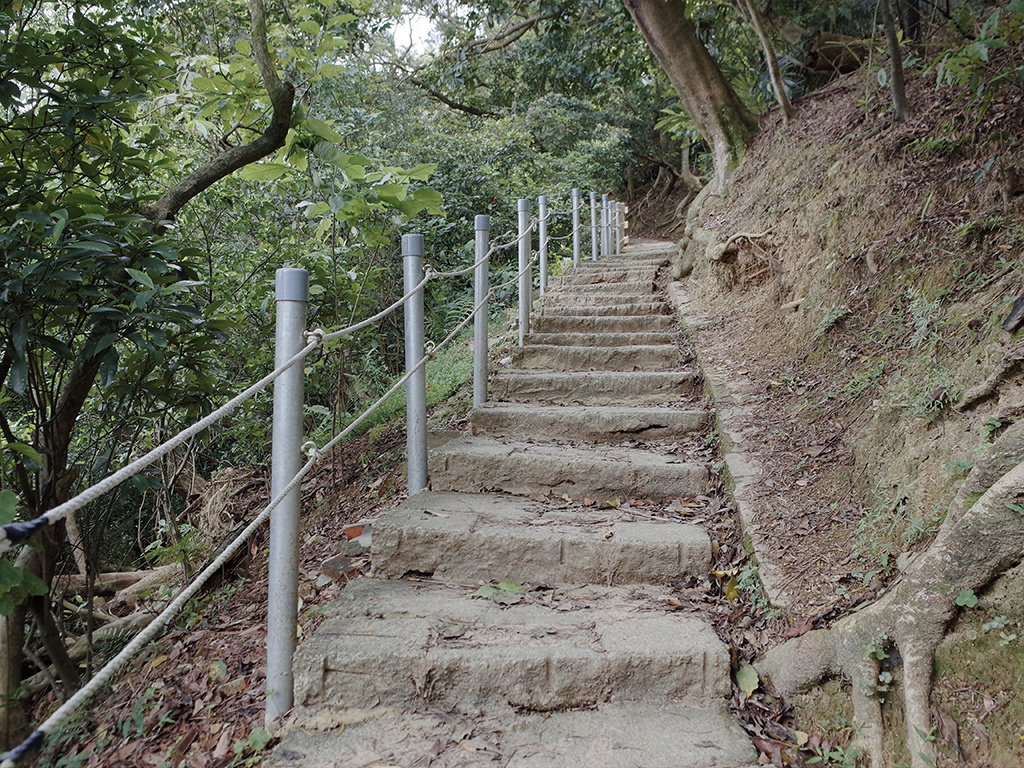 2019-05-05桐花公園-火焰山013.jpg 2019-05-05桐花公園-火焰山013.jpg