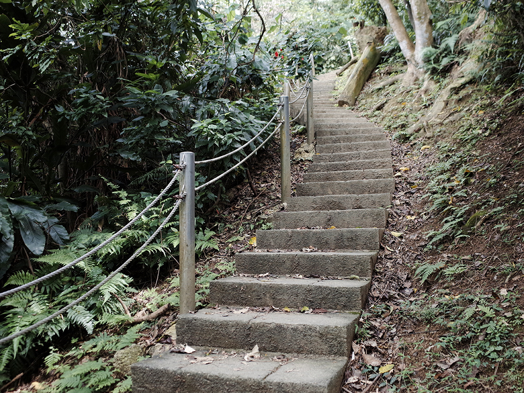 2019-05-05桐花公園-火焰山016.jpg 2019-05-05桐花公園-火焰山016.jpg