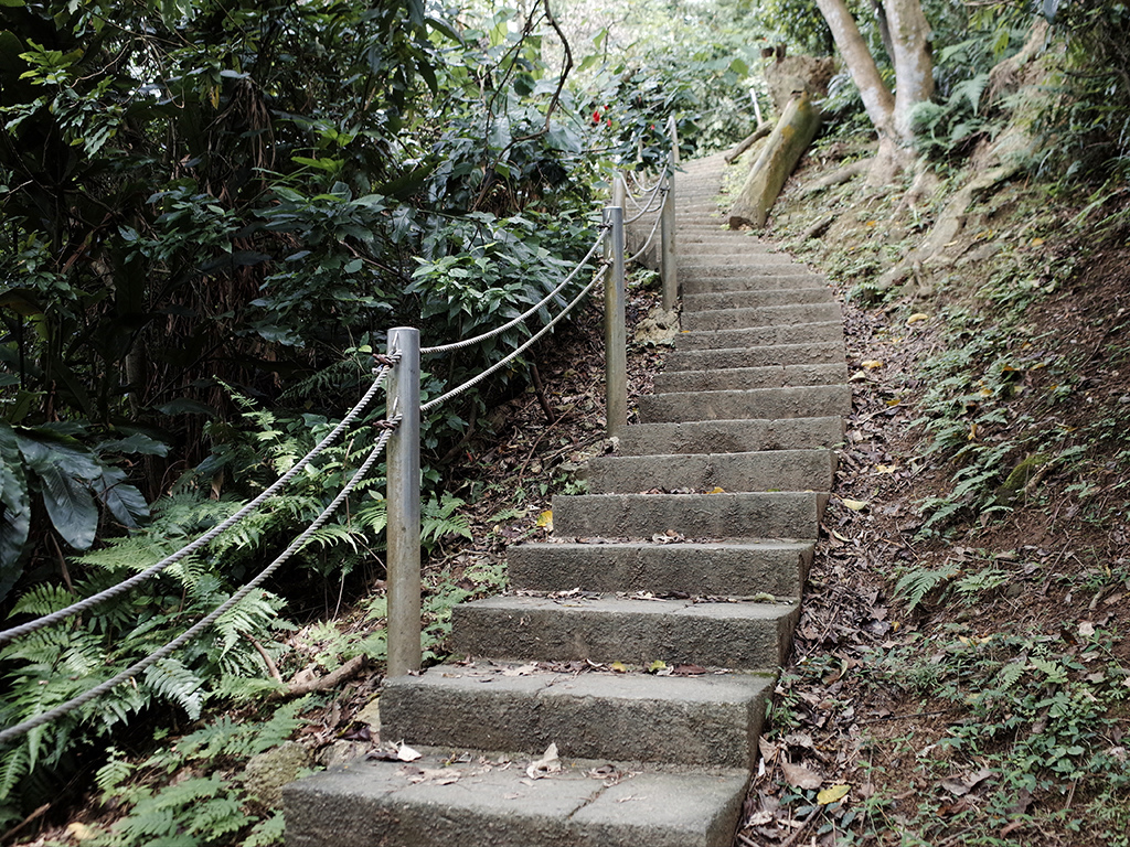 2019-05-05桐花公園-火焰山016.jpg