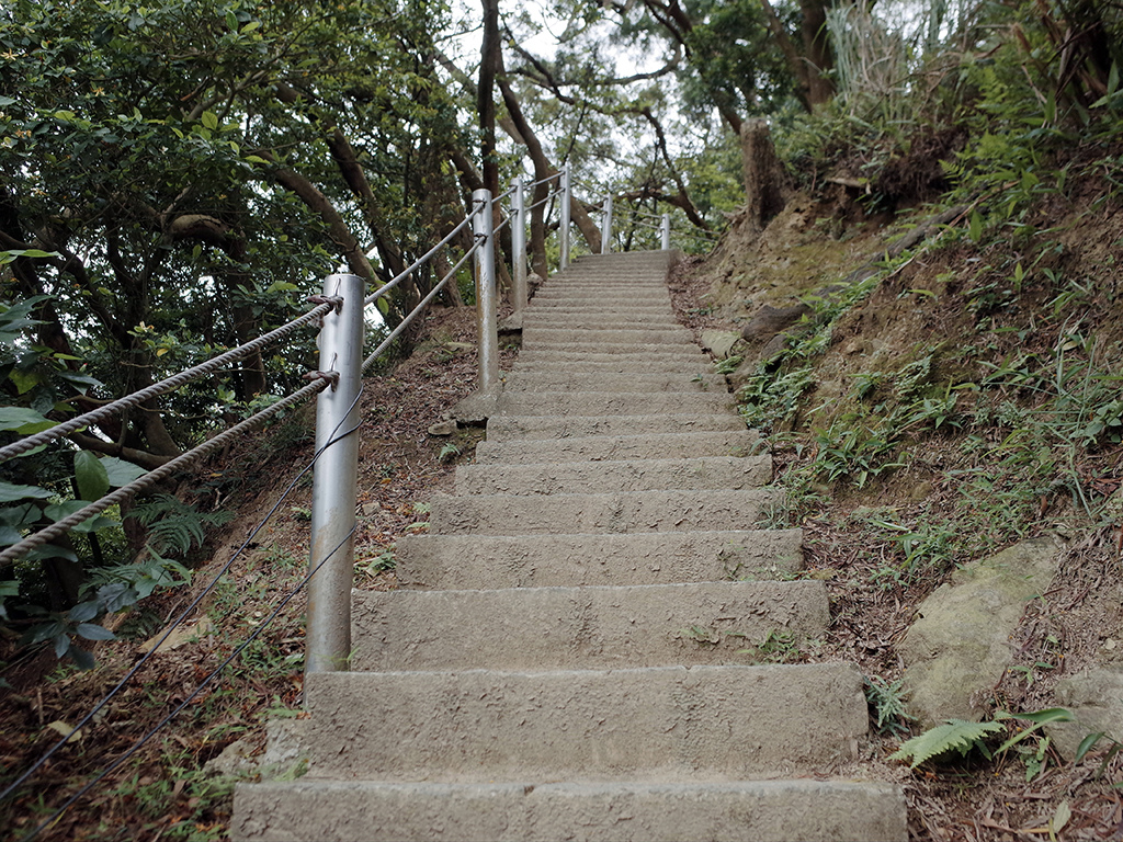 2019-05-05桐花公園-火焰山018.jpg 2019-05-05桐花公園-火焰山018.jpg