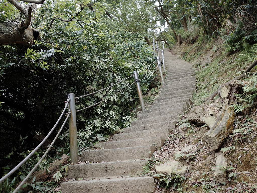 2019-05-05桐花公園-火焰山017.jpg 2019-05-05桐花公園-火焰山017.jpg