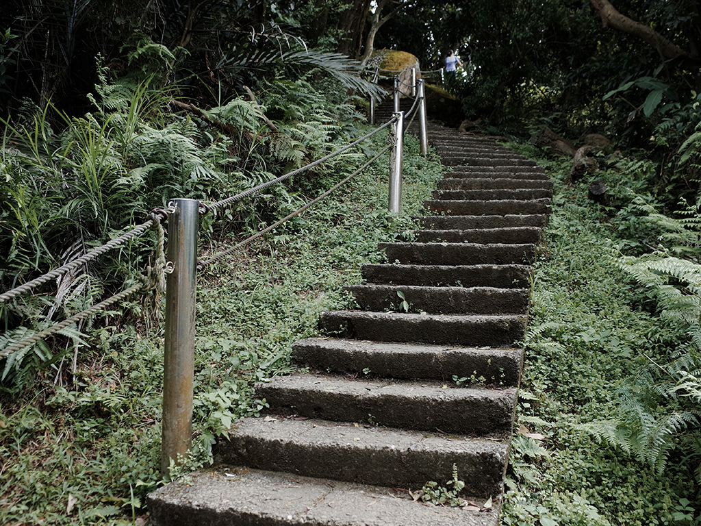 2019-05-05桐花公園-火焰山039.jpg 2019-05-05桐花公園-火焰山039.jpg