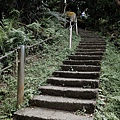 2019-05-05桐花公園-火焰山039.jpg