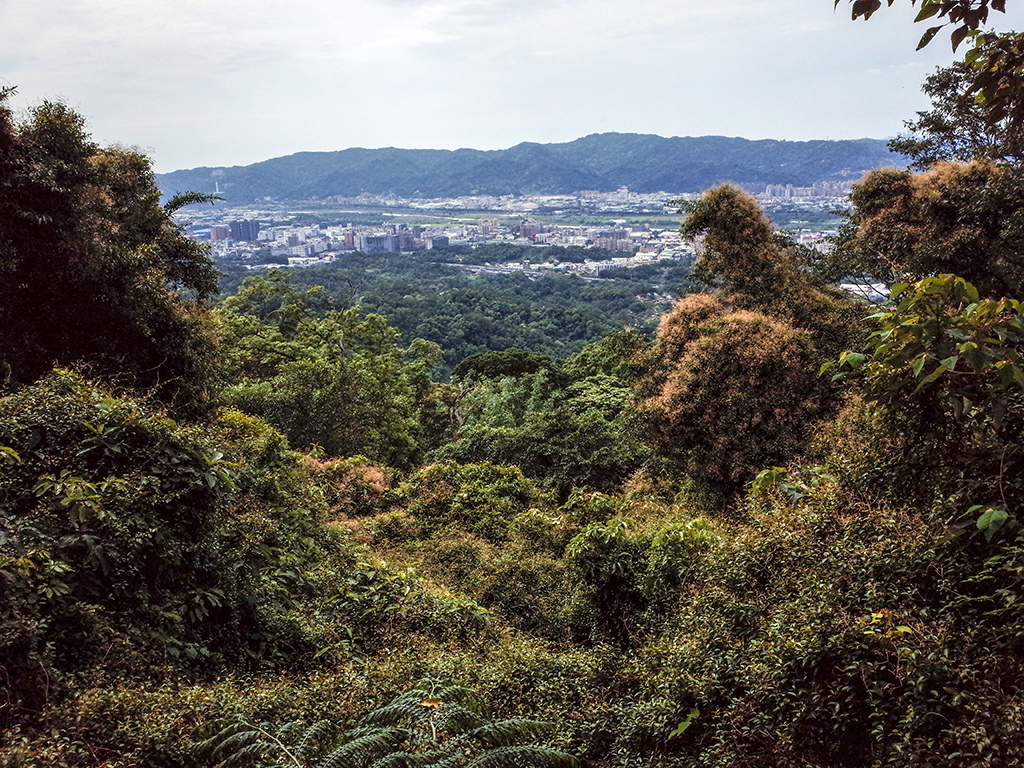 2019-05-05桐花公園-火焰山040.jpg 2019-05-05桐花公園-火焰山040.jpg