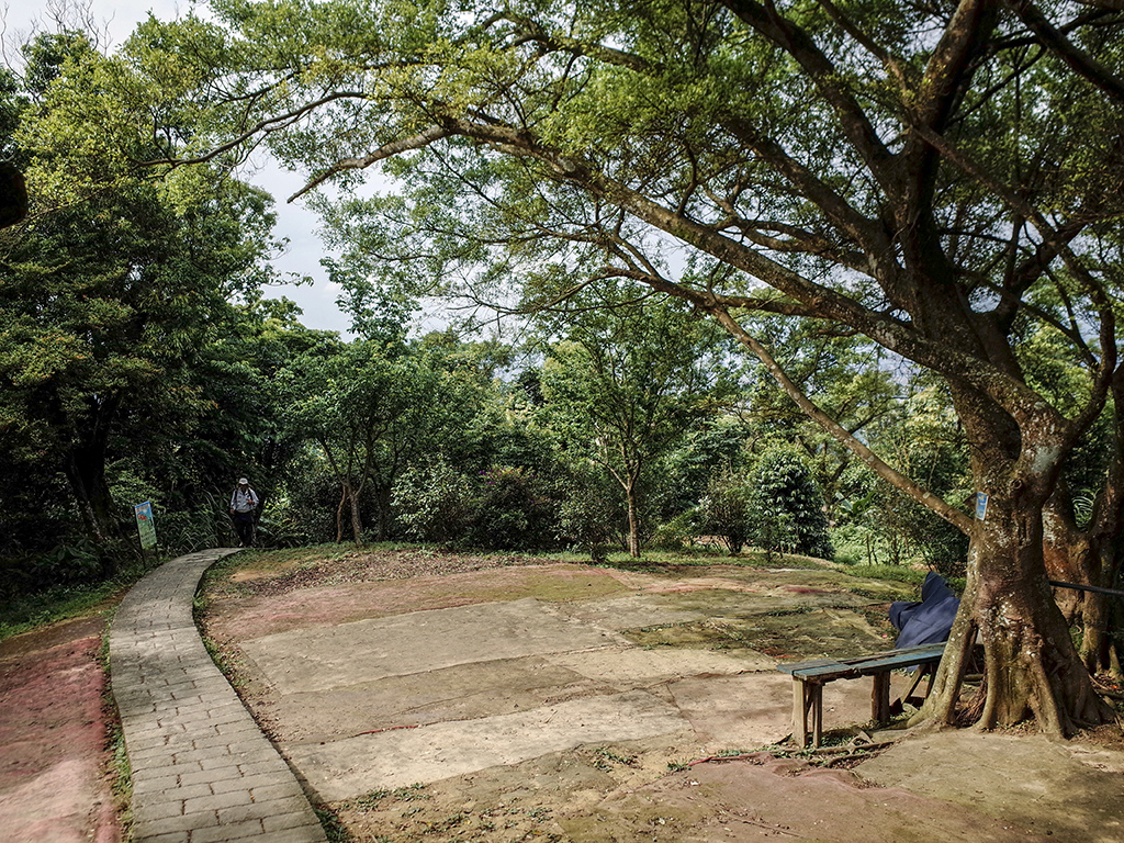 2019-05-05桐花公園-火焰山048.jpg 2019-05-05桐花公園-火焰山048.jpg