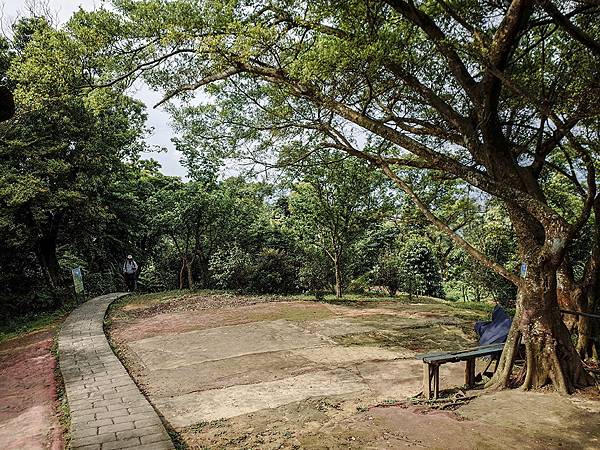 2019-05-05桐花公園-火焰山048.jpg