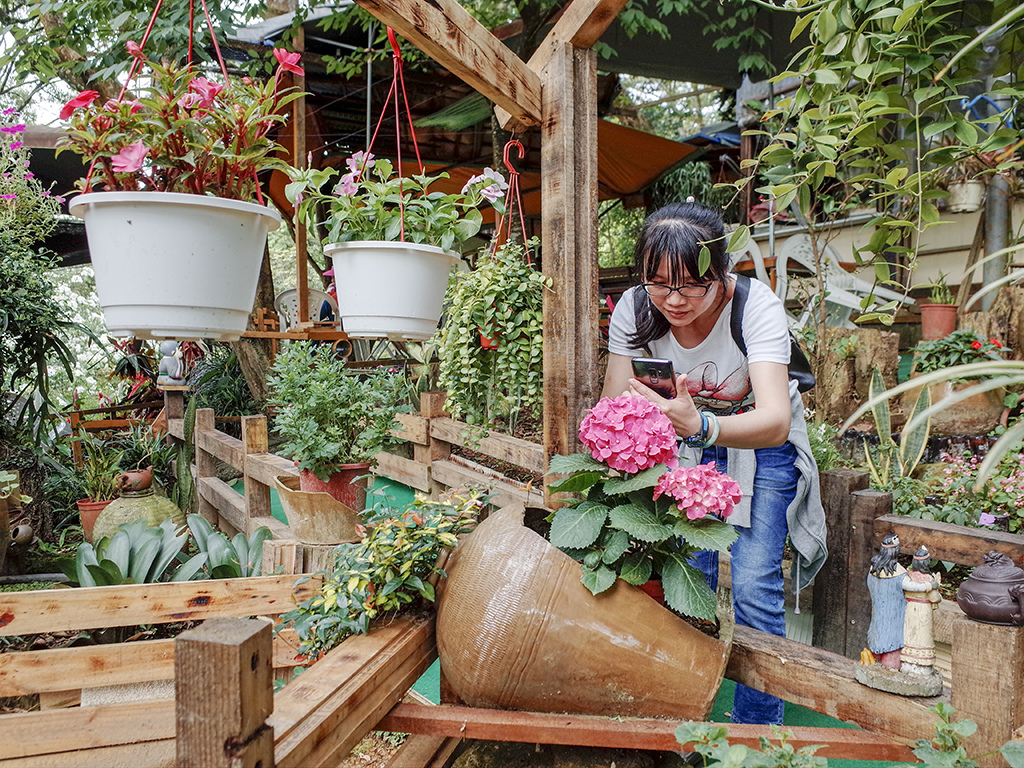 2019-05-05桐花公園-火焰山059.jpg 2019-05-05桐花公園-火焰山059.jpg