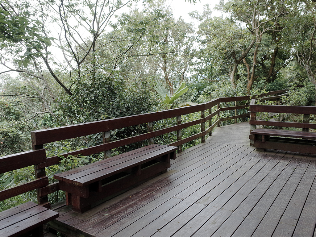 2019-05-05桐花公園-火焰山083.jpg 2019-05-05桐花公園-火焰山083.jpg