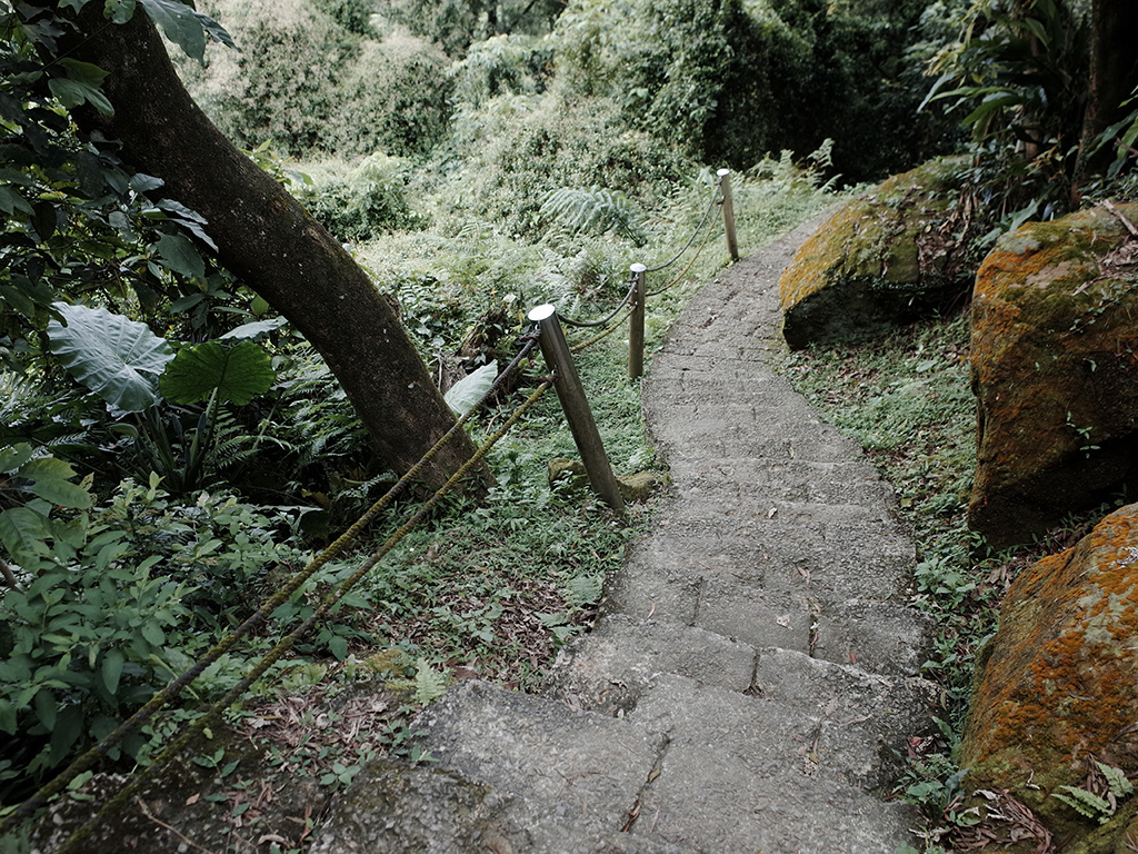 2019-05-05桐花公園-火焰山094.jpg 2019-05-05桐花公園-火焰山094.jpg