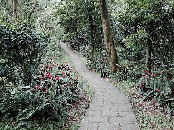 2019-05-05桐花公園-火焰山096.jpg