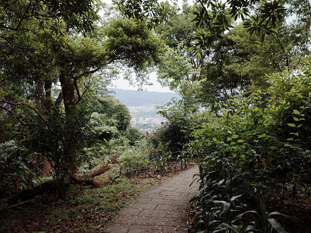 2019-05-05桐花公園-火焰山102.jpg 2019-05-05桐花公園-火焰山102.jpg