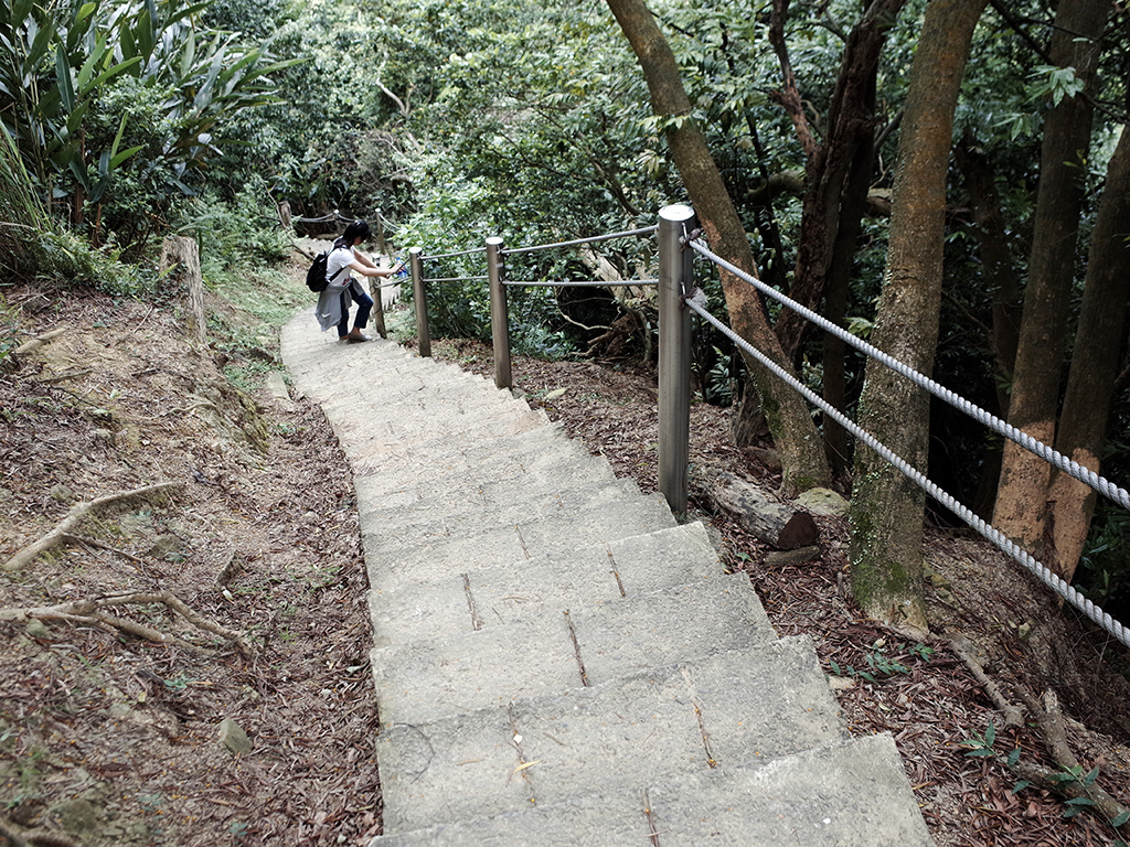 2019-05-05桐花公園-火焰山111.jpg