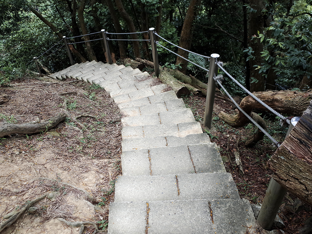 2019-05-05桐花公園-火焰山110.jpg