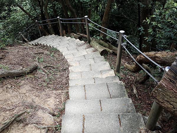 2019-05-05桐花公園-火焰山110.jpg