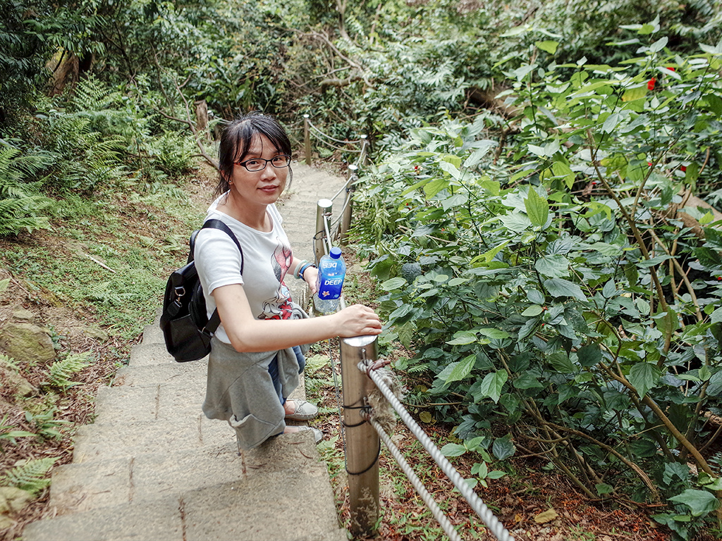 2019-05-05桐花公園-火焰山112.jpg 2019-05-05桐花公園-火焰山112.jpg