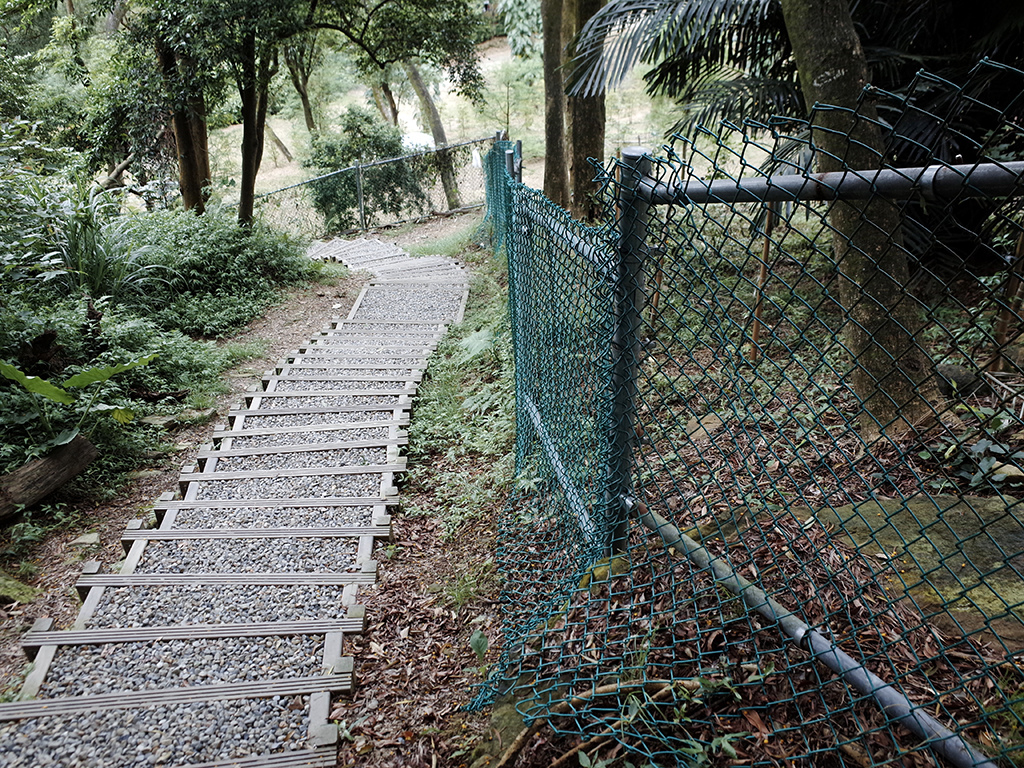 2019-05-05桐花公園-火焰山115.jpg