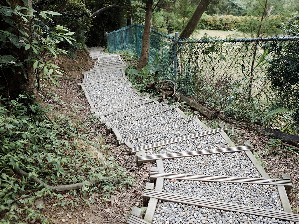 2019-05-05桐花公園-火焰山116.jpg 2019-05-05桐花公園-火焰山116.jpg