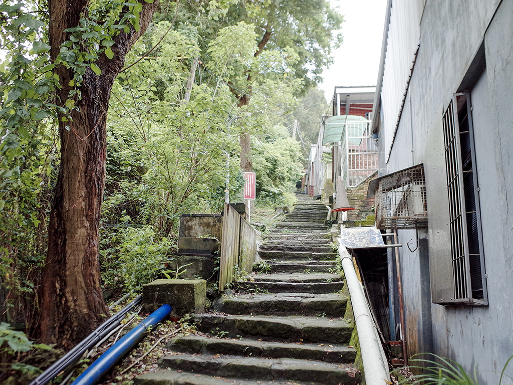 2019-05-19天母水管步道008.jpg 2019-05-19天母水管步道008.jpg