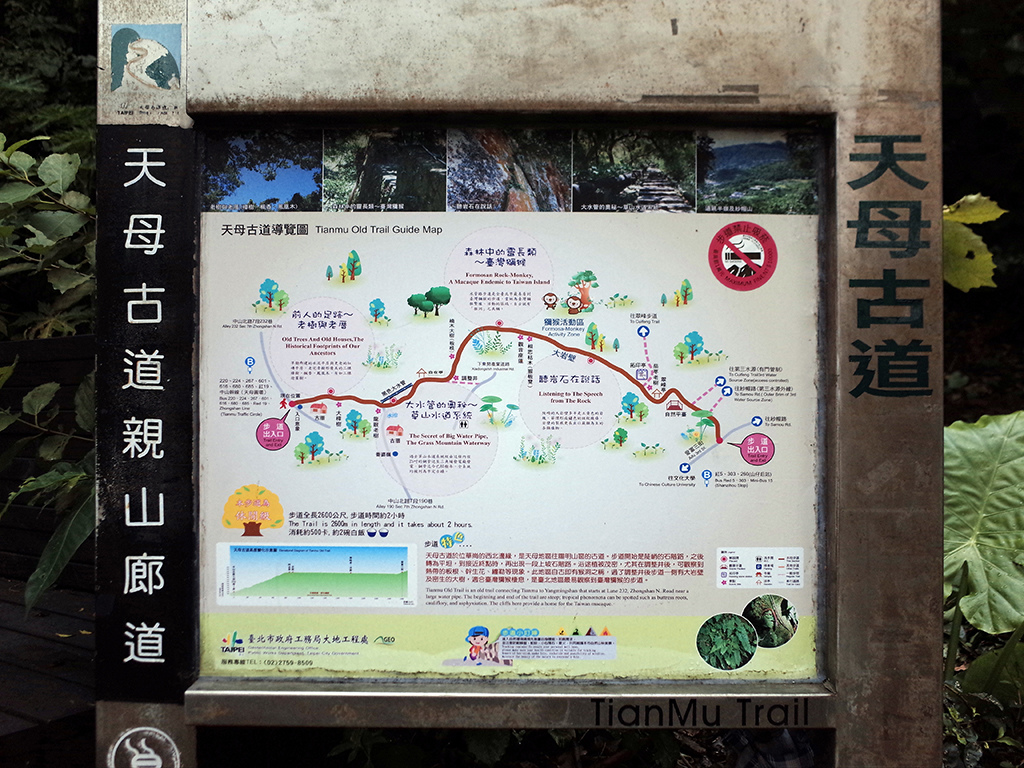 2019-05-19天母水管步道037.jpg 2019-05-19天母水管步道037.jpg