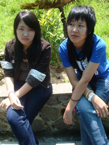 normal_49377f9789904.jpg