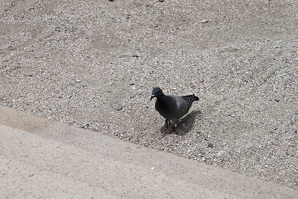 石門洞．白沙灣 047