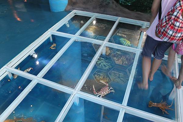 石門洞．白沙灣 056