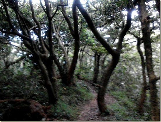 山10 山10