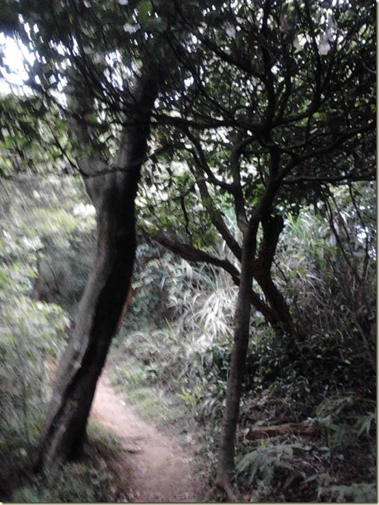 山12 山12